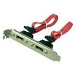 BRACKET E-SATA > SATA x 2