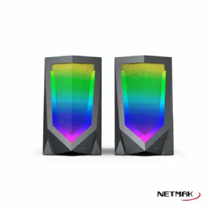 PARLANTES 2.0 NETMAK NM-N10