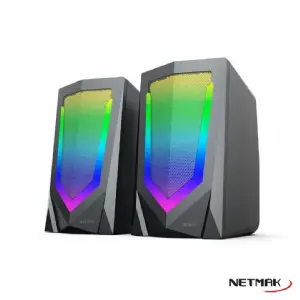 PARLANTES 2.0 NETMAK NM-N10